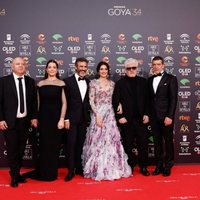 El equipo de 'Dolor y gloria' en la alfombra roja de los Premios Goya 2020