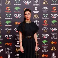 Maribel Verdú en la alfombra roja de los Premios Goya 2020