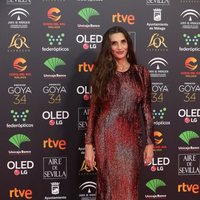 Ángela Molina en la alfombra roja de los Premios Goya 2020