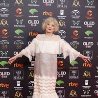 Marisa Paredes en la alfombra roja de los Premios Goya 2020