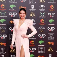 Celia Flores en la alfombra roja de los Premios Goya 2020