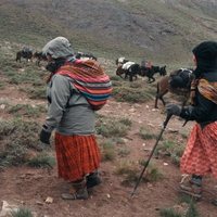 Cholitas