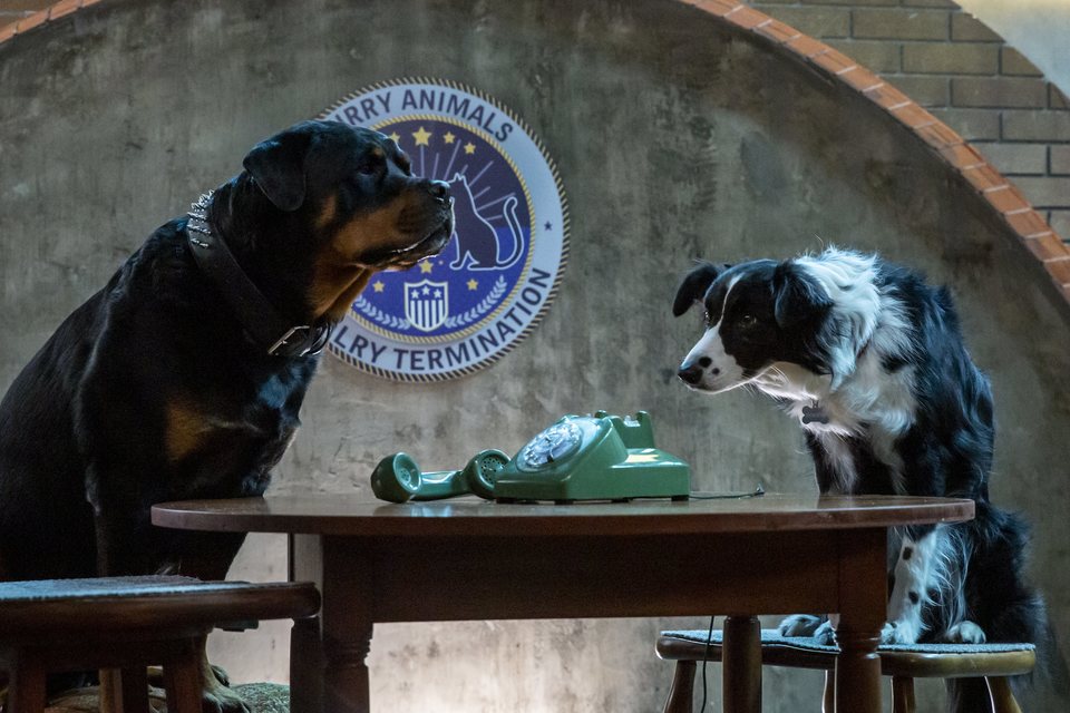 Como perros y gatos. La patrulla unida