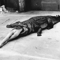 Helmut Newton: The Bad and the Beautiful