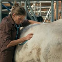 Una veterinaria en la Borgoña