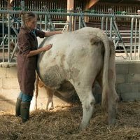 Una veterinaria en la Borgoña