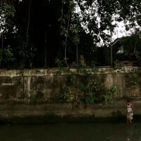 Under The Banyan Tree