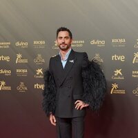 Paco León en la alfombra roja de la 36 edición de los Premios Goya