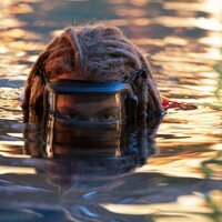 Avatar: El sentido del agua