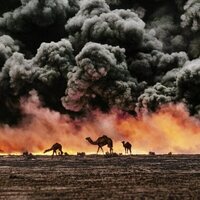 McCurry, la búsqueda del color