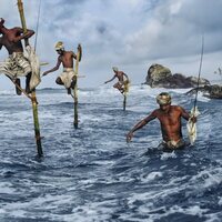 McCurry, la búsqueda del color