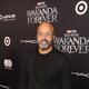 Jeffrey Wright en la premiere de 'Black Panther: Wakanda Forever'