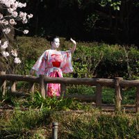 Cerezos en flor