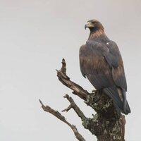 Iberia, naturaleza infinita