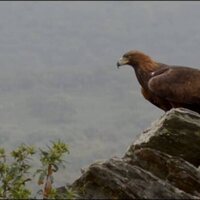 Iberia, naturaleza infinita