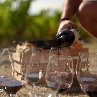 Rioja, la tierra de los mil vinos