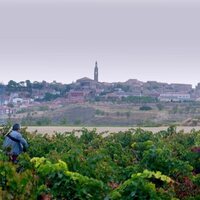 Rioja, la tierra de los mil vinos