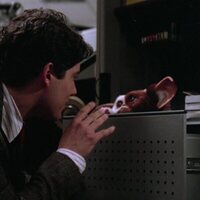 Gremlins 2. La nueva generación