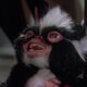 Gremlins 2. La nueva generación