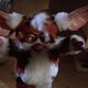 Gremlins 2. La nueva generación