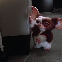 Gremlins 2. La nueva generación