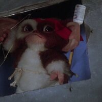 Gremlins 2. La nueva generación