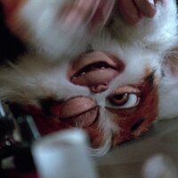 Gremlins 2. La nueva generación