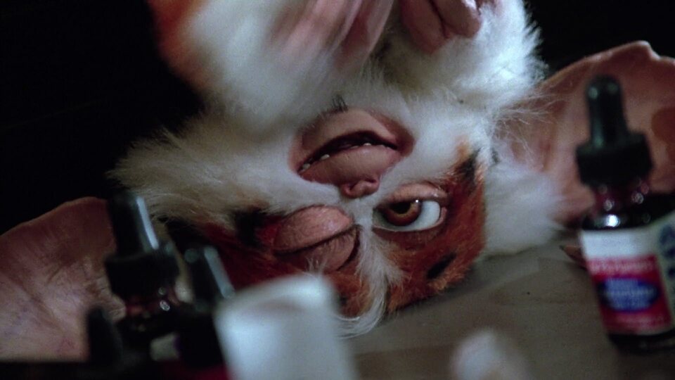 Gremlins 2. La nueva generación