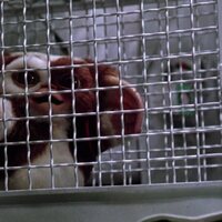 Gremlins 2. La nueva generación