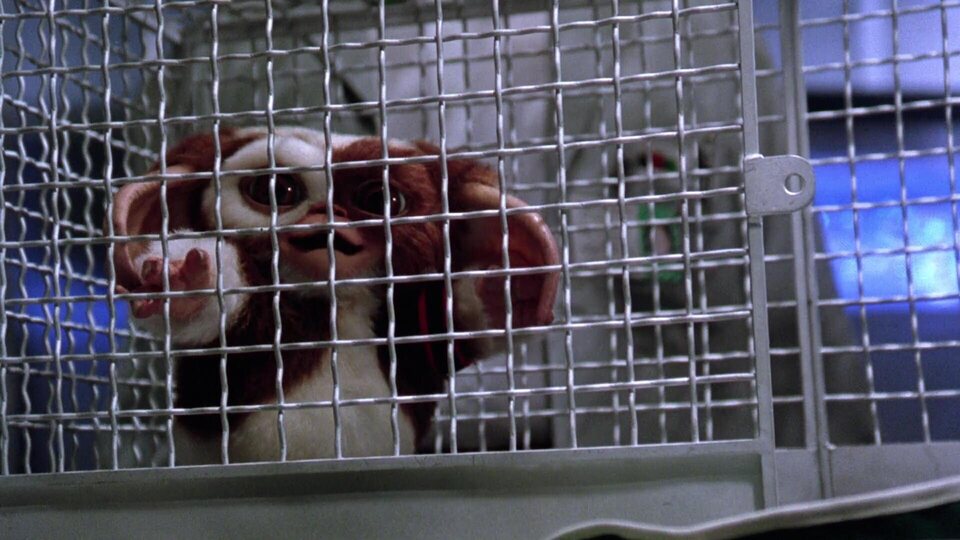 Gremlins 2. La nueva generación