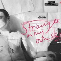 Peter Doherty: Stranger In My Own Skin