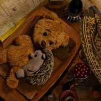 Teddy, la magia de la Navidad