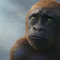 Godzilla y Kong: El Nuevo Imperio