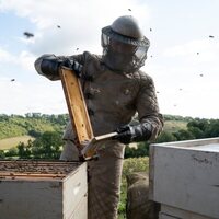 The Beekeeper: El protector