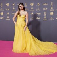 Sara Salamo llega a la alfombra roja de los Goya 2024