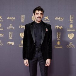 David Verdaguer llega a la alfombra roja de los Goya 2024