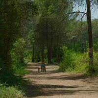 Los pequeños amores