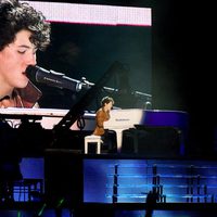 Jonas Brothers en concierto 3D