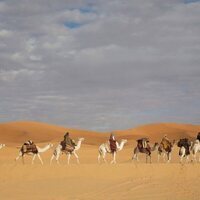 La reina del desierto