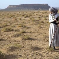 La reina del desierto