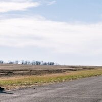 Bikeriders. La ley del asfalto