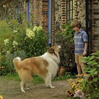 Lassie: Una nueva aventura