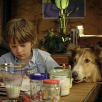 Lassie: Una nueva aventura