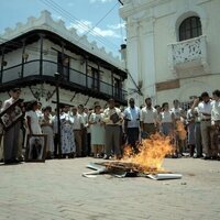 El grito de las mariposas