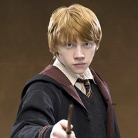 Harry Potter y la Orden del Fénix