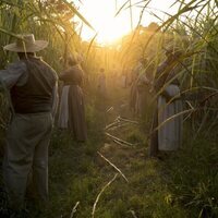 The Underground Railroad