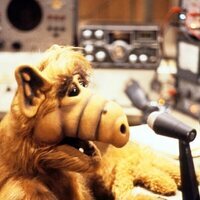 Alf