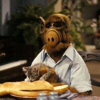 Alf