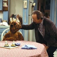 Alf