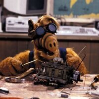 Alf